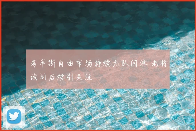 考辛斯自由市场持续无队问津 老将试训后续引关注