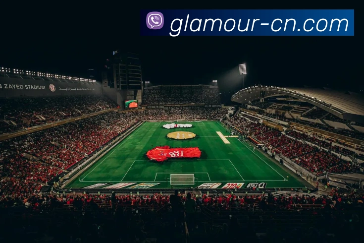 世界杯开户平台平台生态图